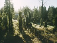ener2001 - Kopi